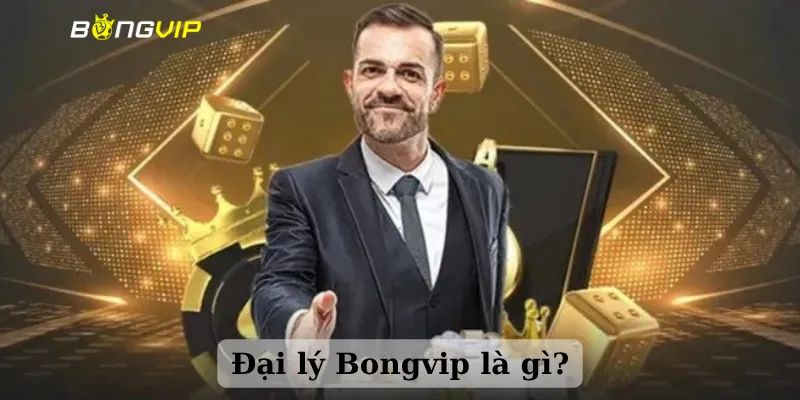 Đại Lý Bongvip - Hợp Tác Để Thu Về Lợi Nhuận Lớn Tại Đây
