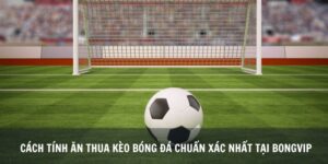 Cách Tính Ăn Thua Kèo Bóng Đá Chuẩn Xác Nhất Tại Bongvip